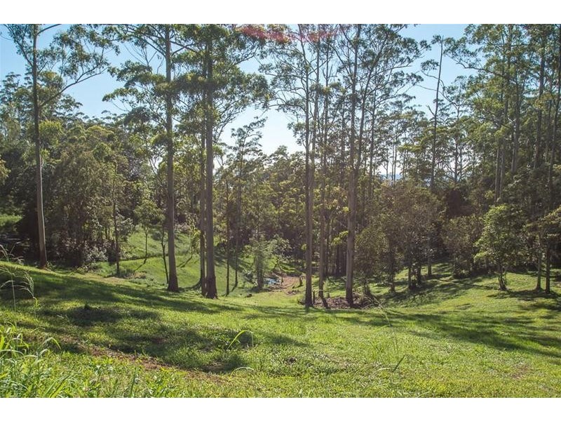 7 Central Avenue, Tamborine Mountain QLD 4272