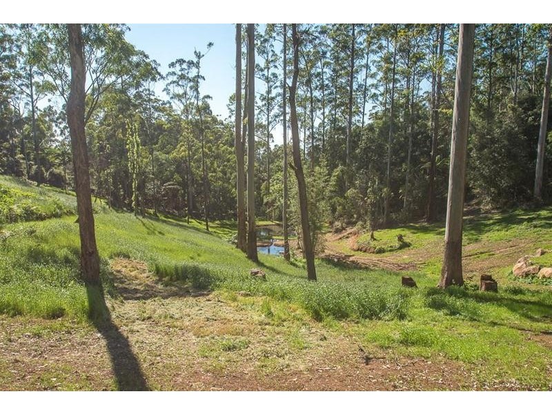 7 Central Avenue, Tamborine Mountain QLD 4272