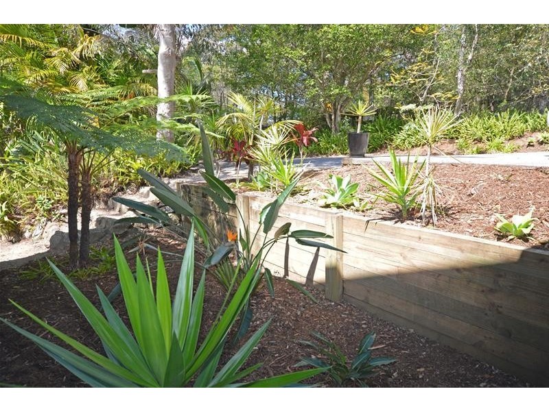 Tamborine Mountain QLD 4272