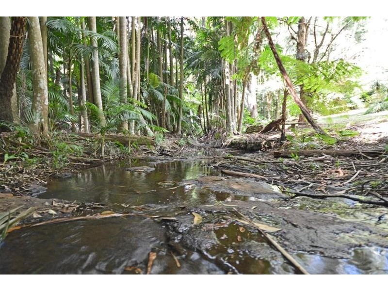 37 Yuulong Street, Tamborine Mountain QLD 4272