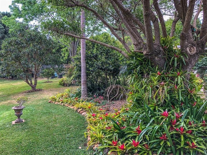 10 Winema Drive, Tamborine Mountain QLD 4272