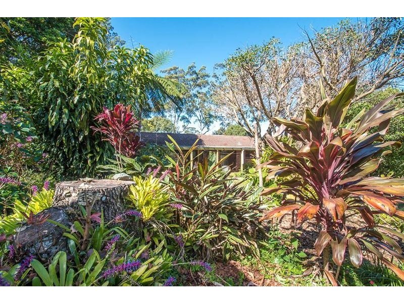 10 Winema Drive, Tamborine Mountain QLD 4272