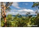 Tamborine Mountain QLD 4272