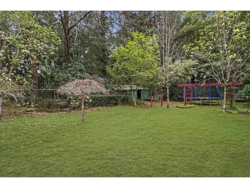 Tamborine Mountain QLD 4272