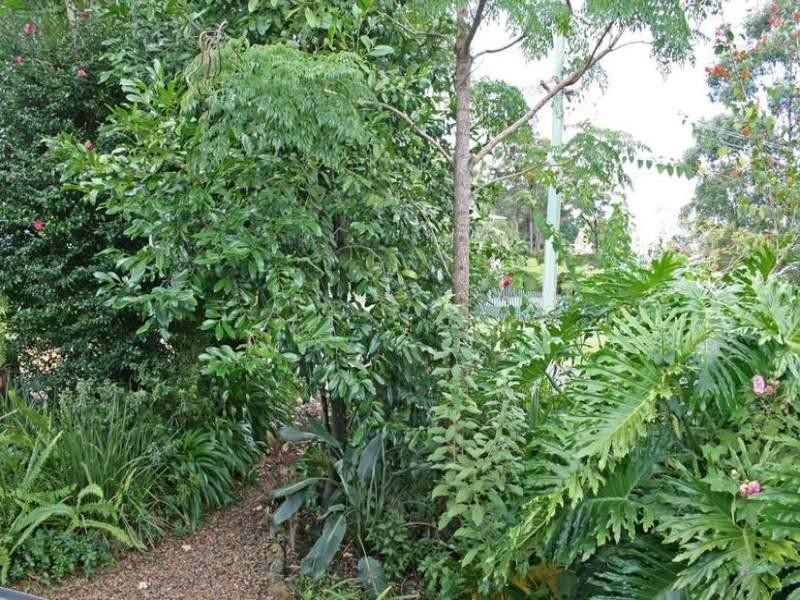 19 Foraker Drive, Eagle Heights QLD 4271