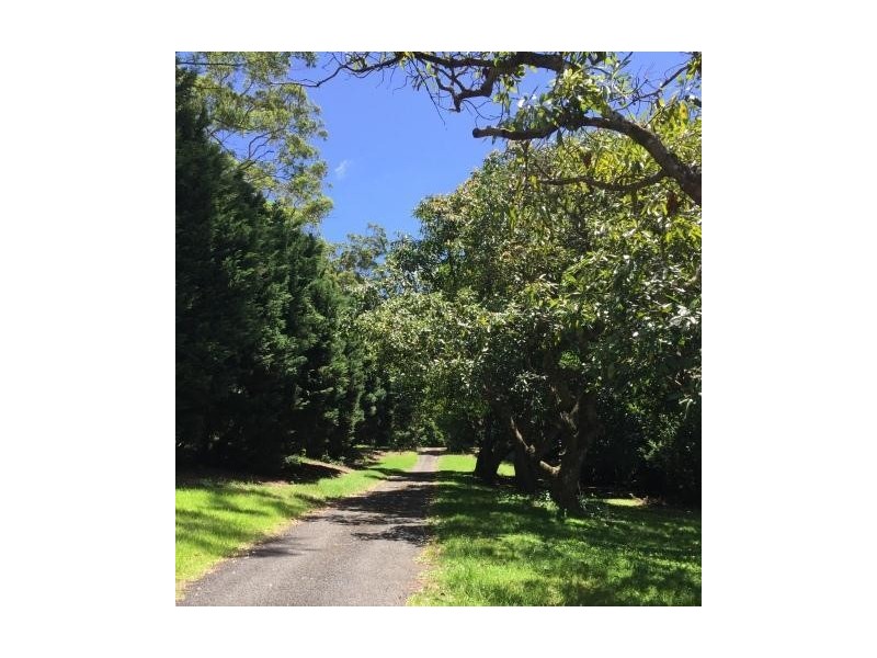 Tamborine Mountain QLD 4272