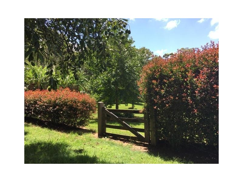 Tamborine Mountain QLD 4272