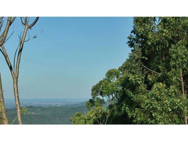Tamborine Mountain QLD 4272