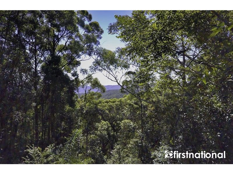 Tamborine Mountain QLD 4272