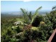 Tamborine Mountain QLD 4272