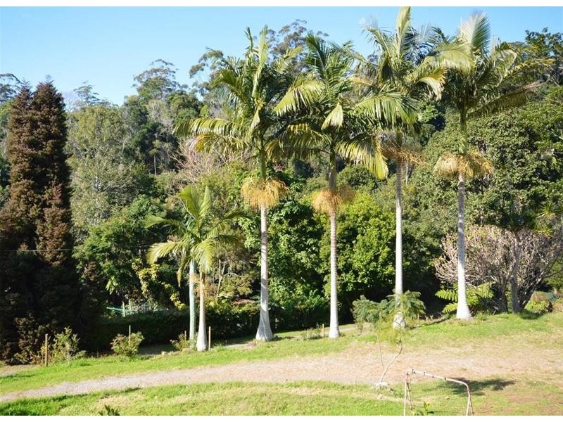 17 Ohia Court, Tamborine Mountain QLD 4272