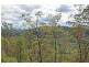 Tamborine Mountain QLD 4272