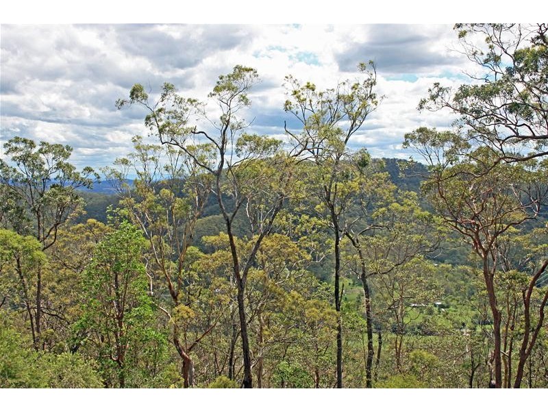 Tamborine Mountain QLD 4272
