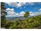 Tamborine Mountain QLD 4272