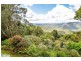 Tamborine Mountain QLD 4272