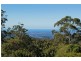 54 Paradise Drive, Tamborine Mountain QLD 4272