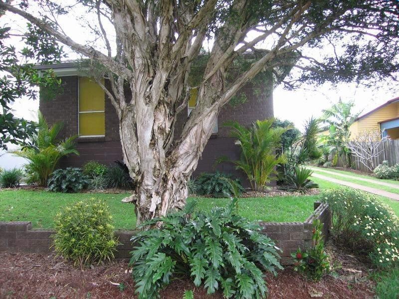 20 Main Street, North Tamborine QLD 4272