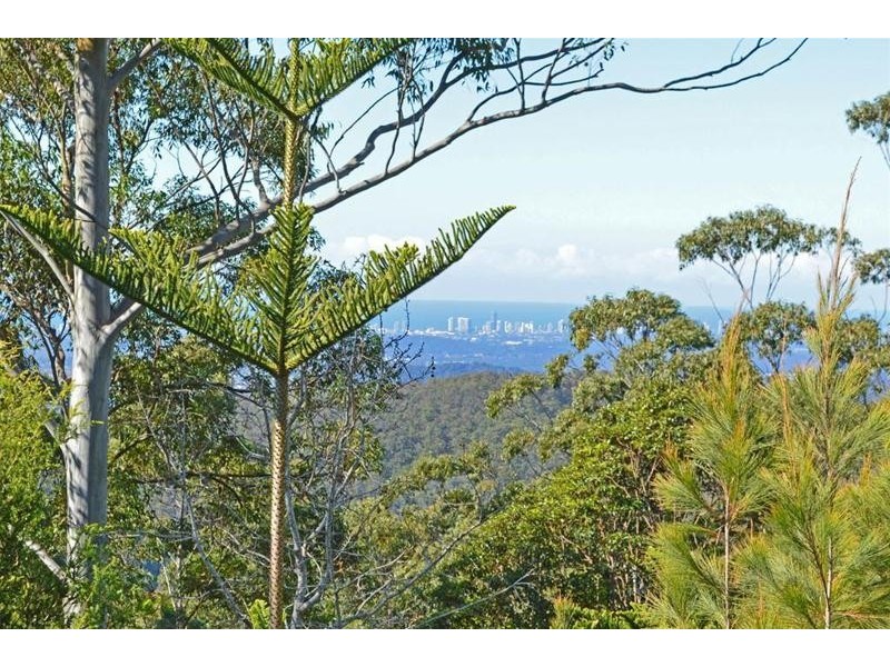 19 Magnetic Drive, Tamborine Mountain QLD 4272