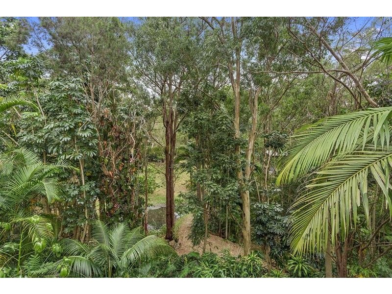 12-20 Leona Court, Tamborine Mountain QLD 4272