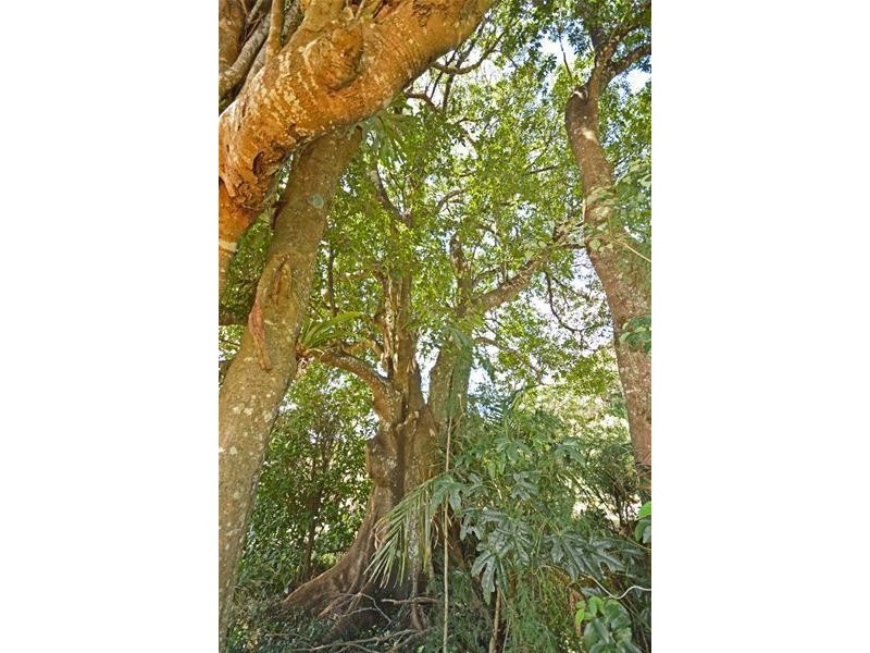 North Tamborine QLD 4272