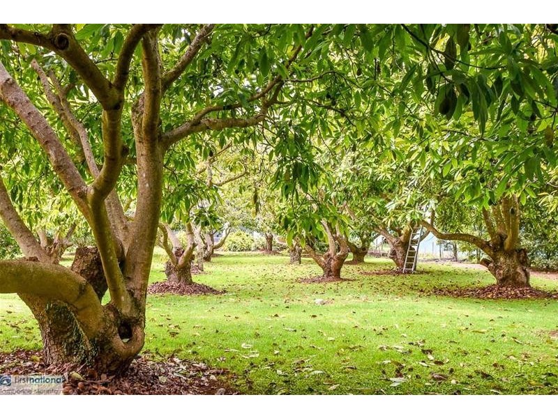 322 Main Western Road, Tamborine Mountain QLD 4272
