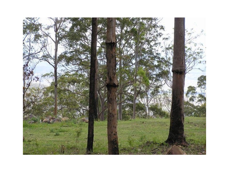 7/905 Tamborine Mountain Road, Tamborine Mountain QLD 4272