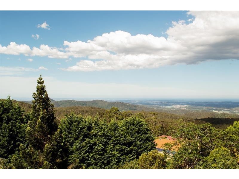 29 Witherby Cresent, Tamborine Mountain QLD 4272