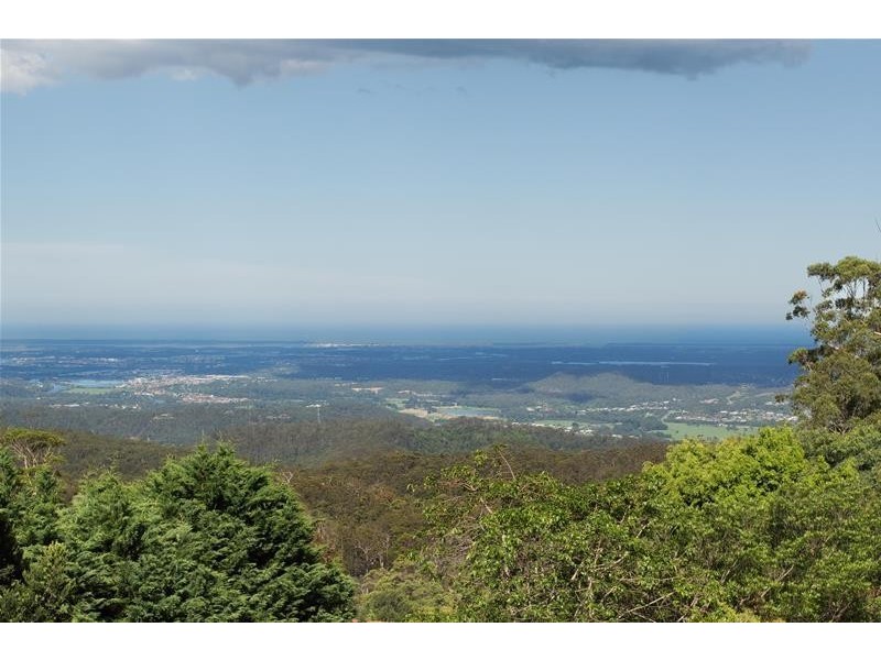 29 Witherby Cresent, Tamborine Mountain QLD 4272