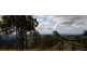 Tamborine Mountain QLD 4272