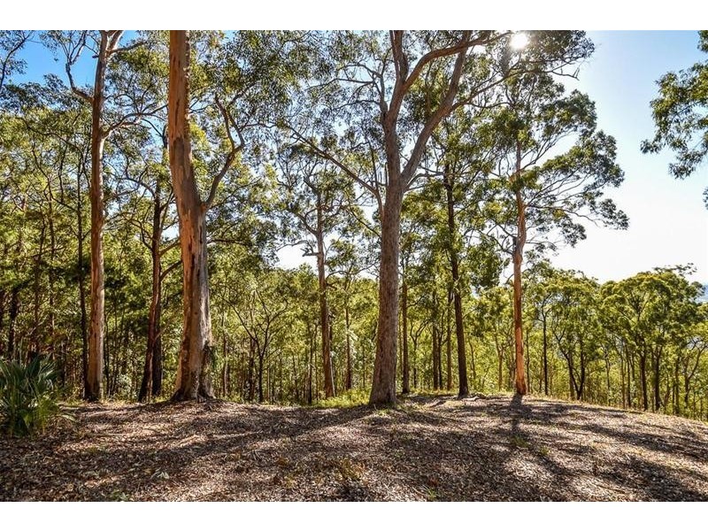 382 Henri Robert Drive, Clagiraba QLD 4211