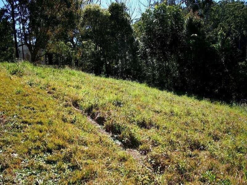 5 Ohia Court, Eagle Heights QLD 4271