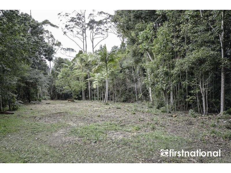 29 Palm Grove Avenue, Tamborine Mountain QLD 4272