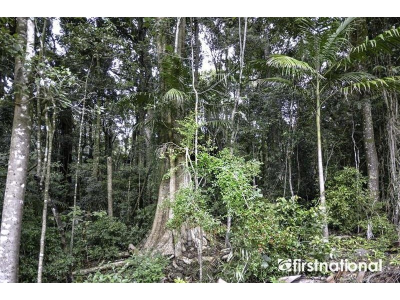 29 Palm Grove Avenue, Tamborine Mountain QLD 4272