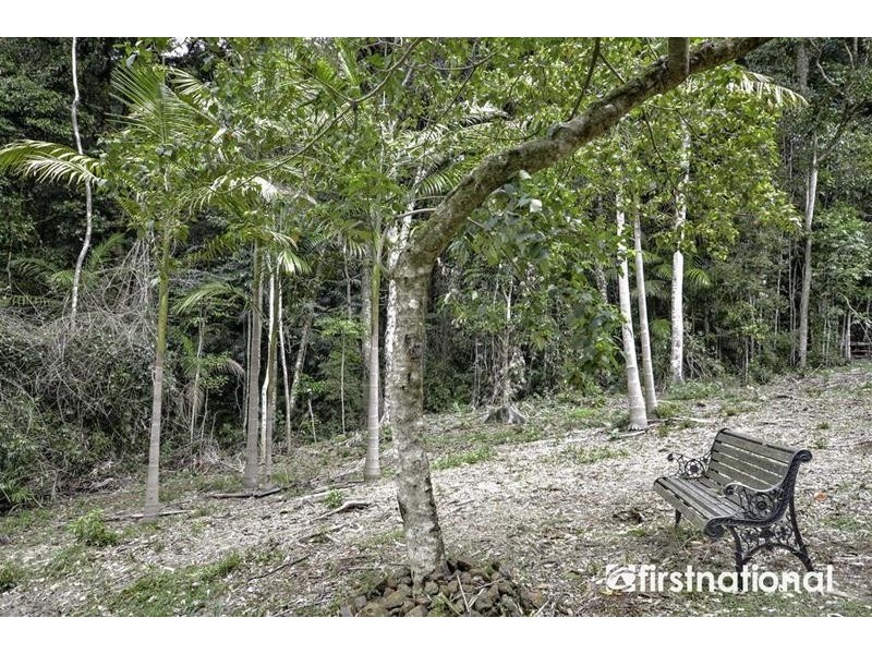 29 Palm Grove Avenue, Tamborine Mountain QLD 4272