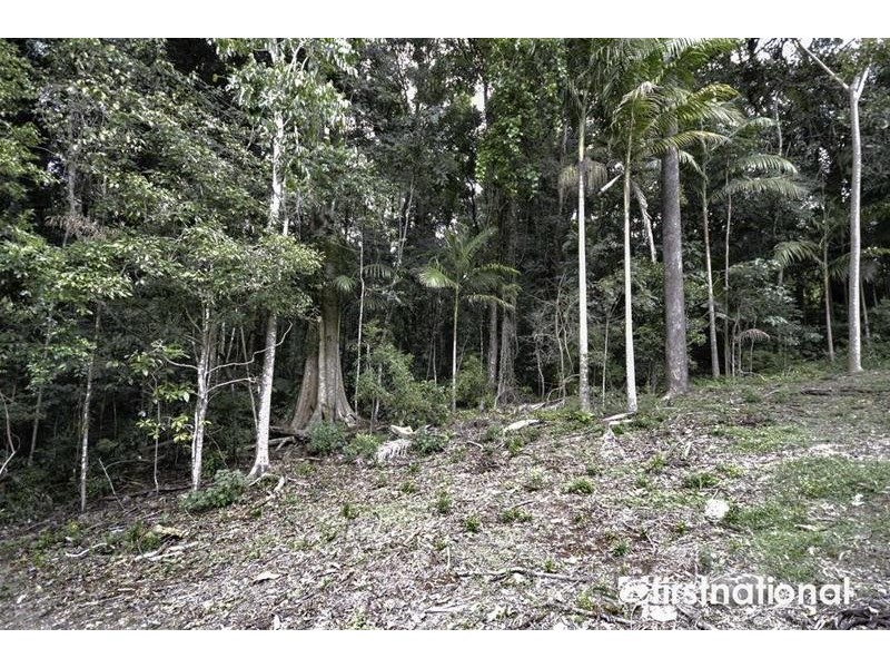 29 Palm Grove Avenue, Tamborine Mountain QLD 4272