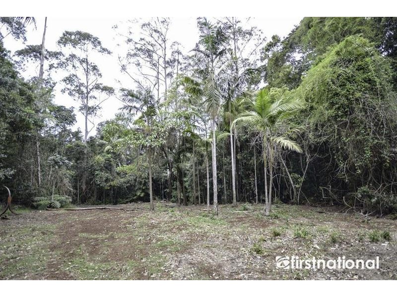 29 Palm Grove Avenue, Tamborine Mountain QLD 4272