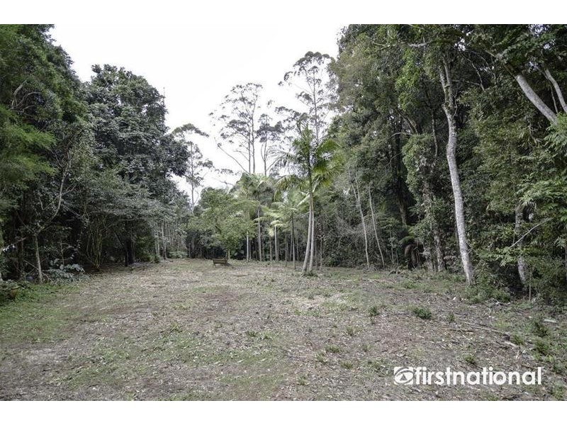 29 Palm Grove Avenue, Tamborine Mountain QLD 4272