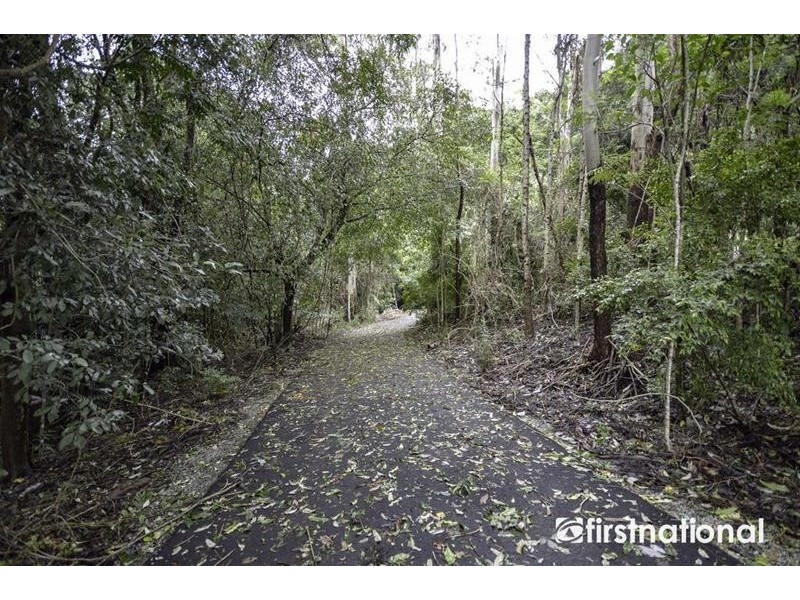 29 Palm Grove Avenue, Tamborine Mountain QLD 4272