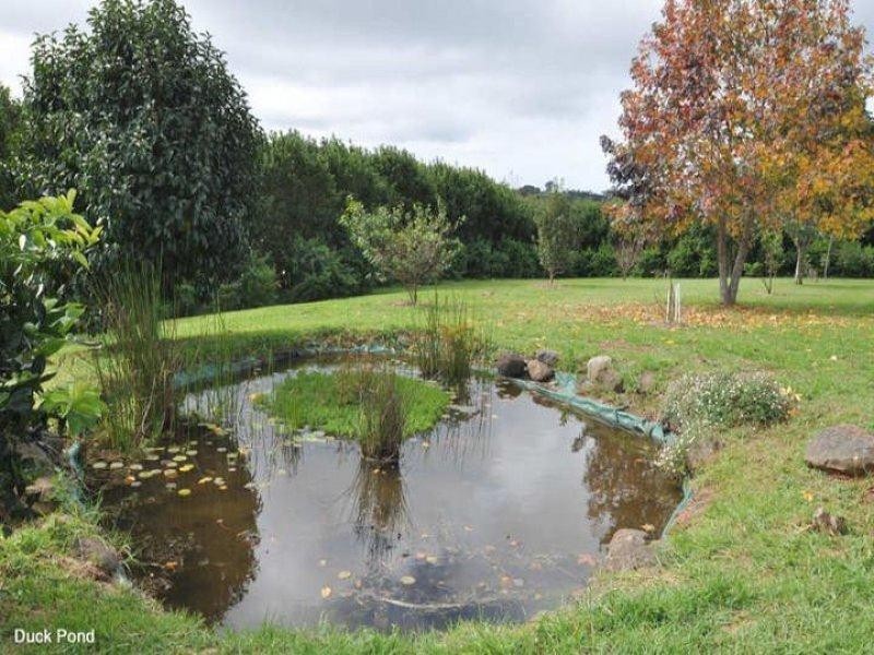 46 Main Western Road, Tamborine Mountain QLD 4272