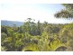 Tamborine Mountain QLD 4272