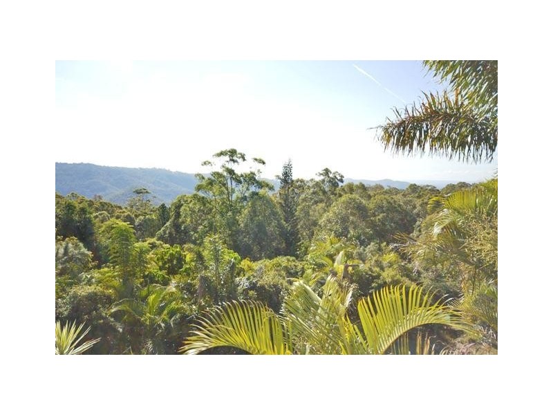 Tamborine Mountain QLD 4272