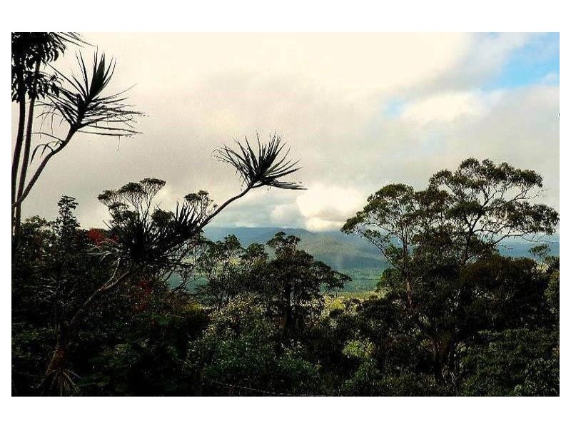 Tamborine Mountain QLD 4272