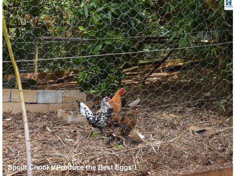 5 Platt Place, Tamborine Mountain QLD 4272