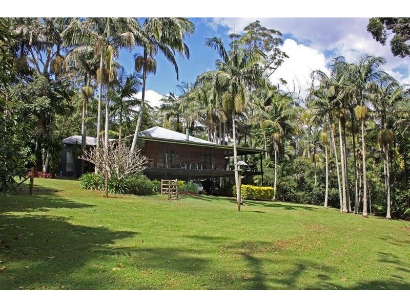 599 Main Western Road, Tamborine Mountain QLD 4272