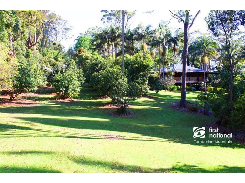 599 Main Western Road, Tamborine Mountain QLD 4272