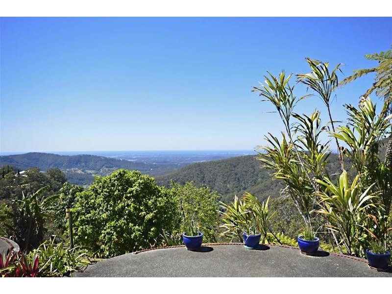 25 Orchis Drive, Tamborine Mountain QLD 4272