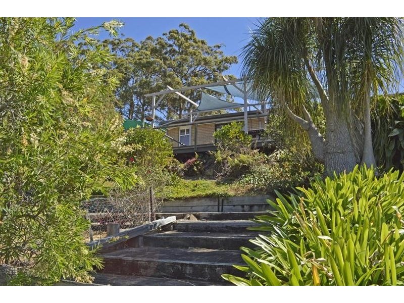 25 Orchis Drive, Tamborine Mountain QLD 4272