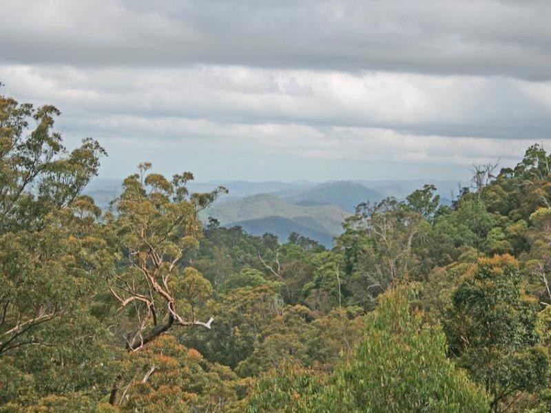 163 Wongawallan Road, Eagle Heights QLD 4271