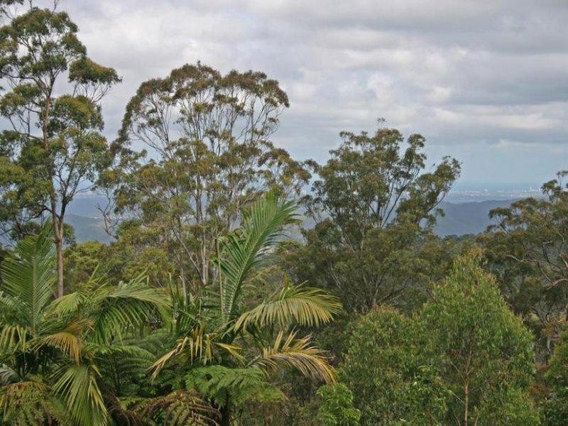 163 Wongawallan Road, Eagle Heights QLD 4271