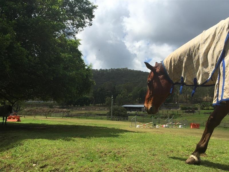 Mount Nathan QLD 4211
